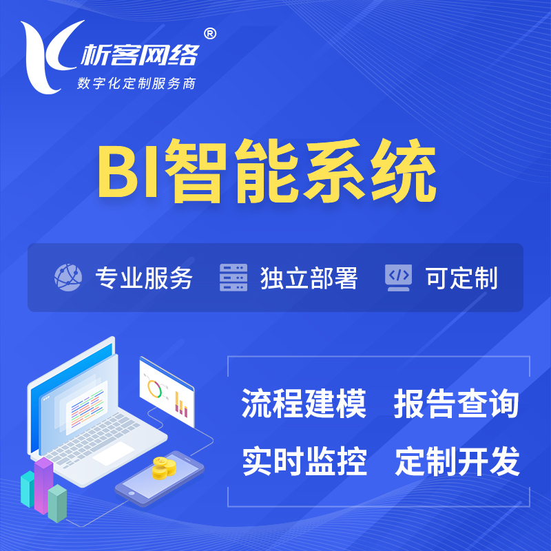 陇南BI智能系统 | BI数据可视化